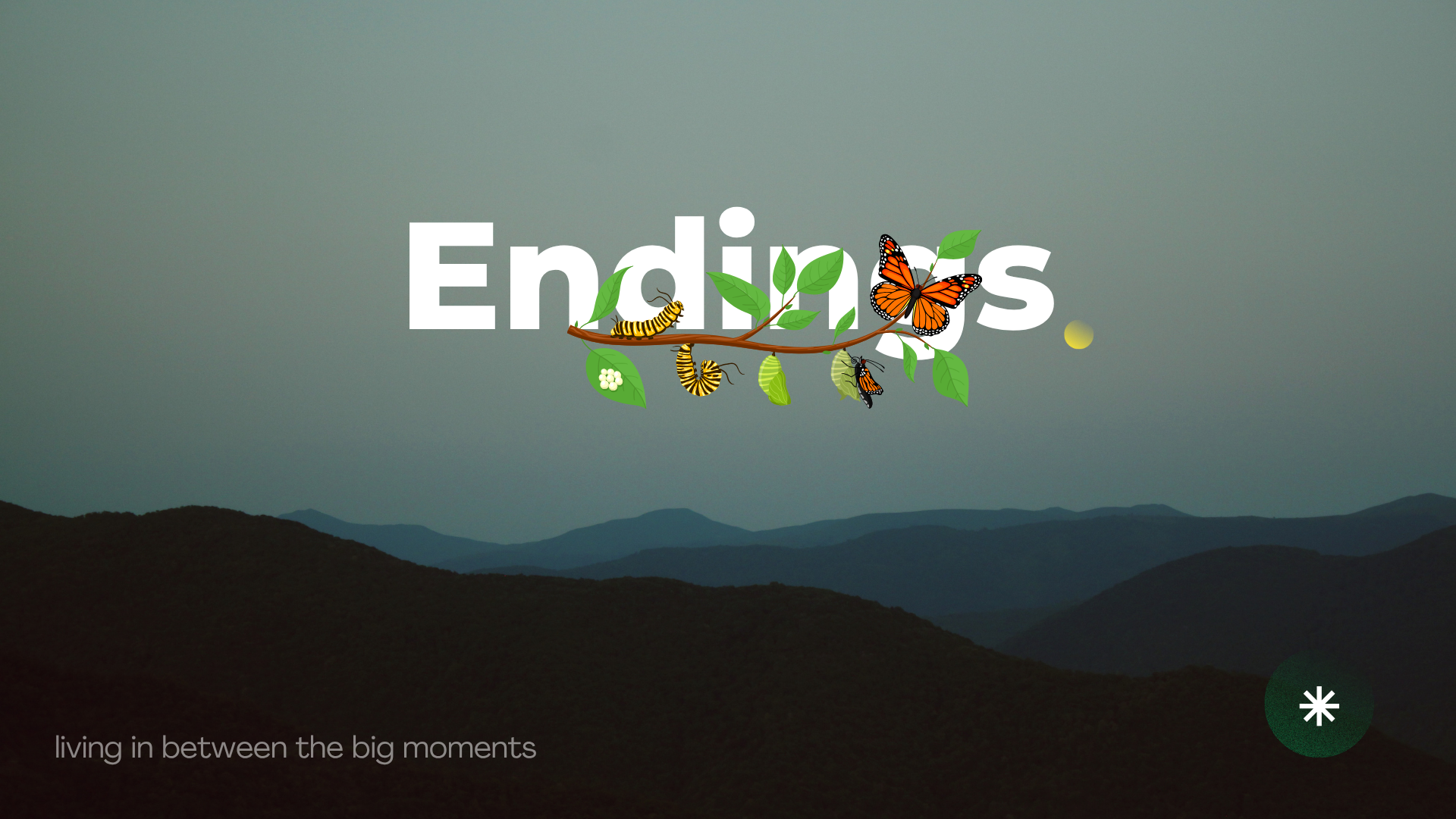 blog banner