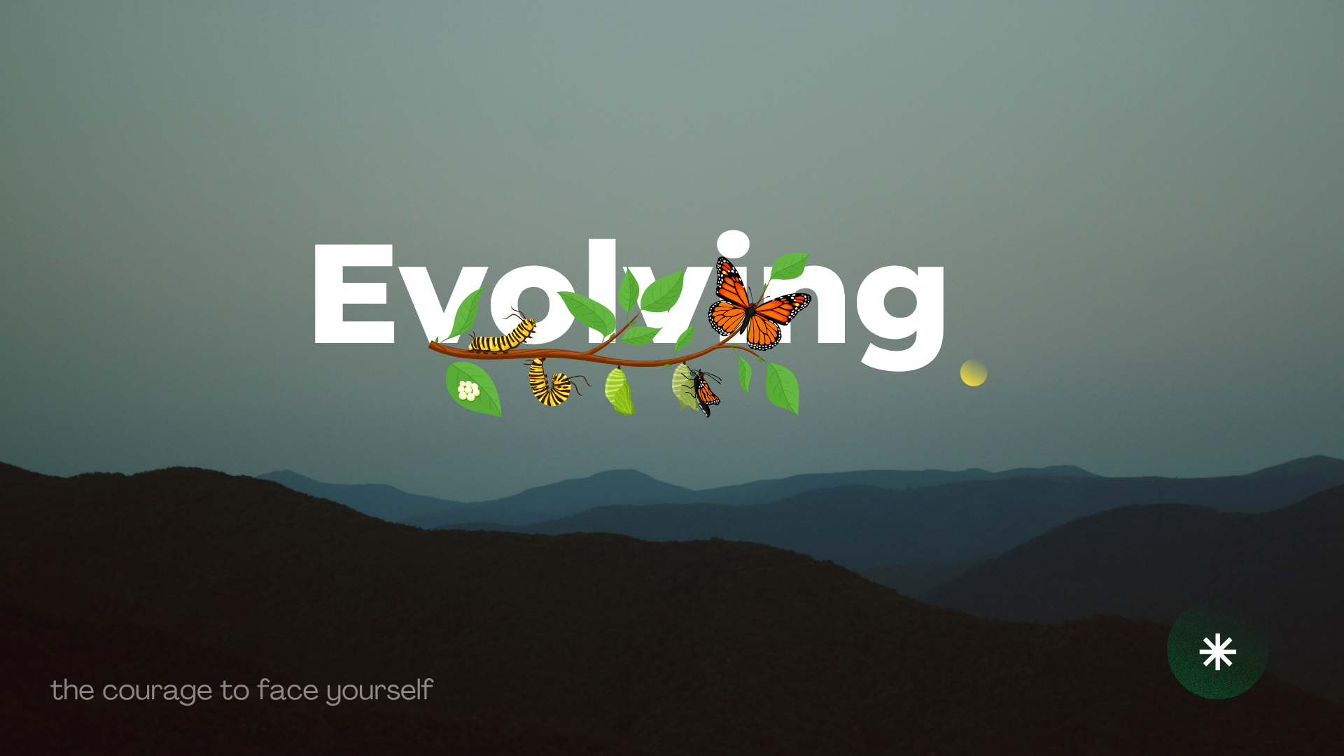blog banner